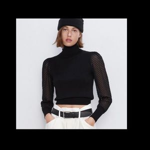 Catherine Malandrino mesh-sleeve top.